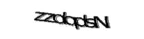 Security check image, please type the characters shown