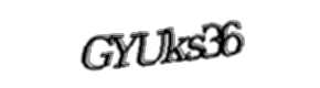 Security check image, please type the characters shown