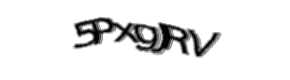 Security check image, please type the characters shown
